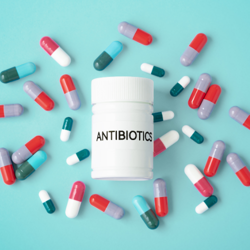 Machine Learning Algorithms to Predict Urine Culture Resistance to Antibiotics